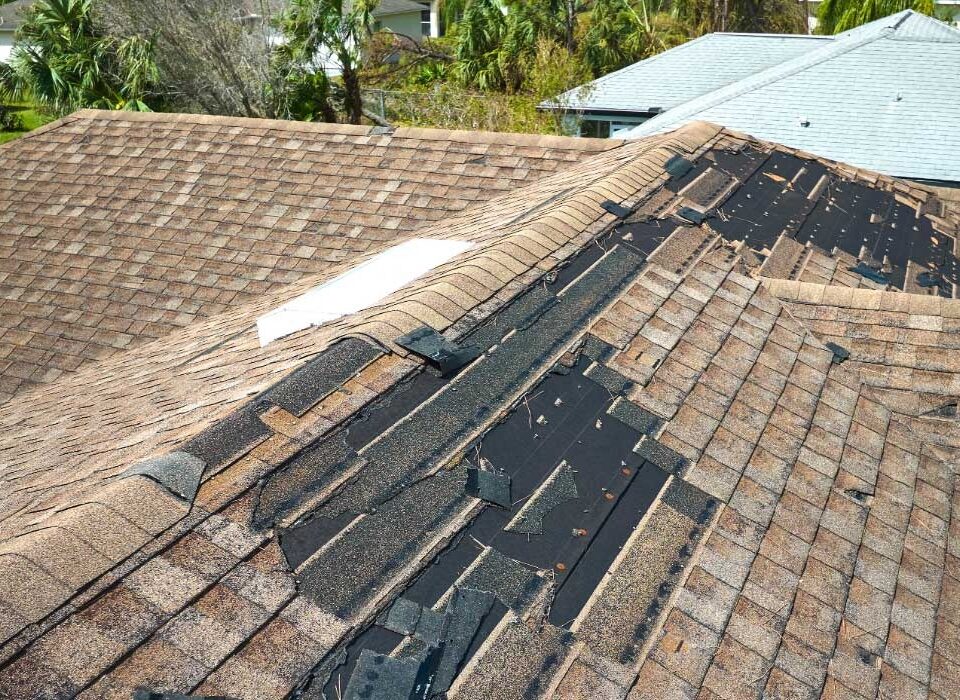 5 Signs You Have Roof Damage roof damage
